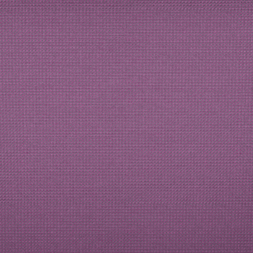 michelangelo-plum